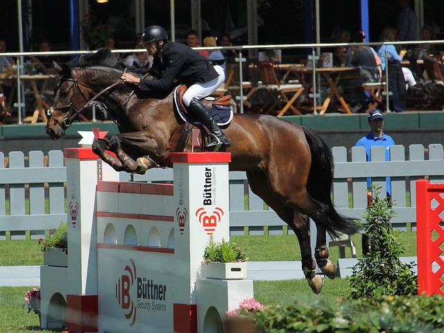 但阵容深度 但阵容深度