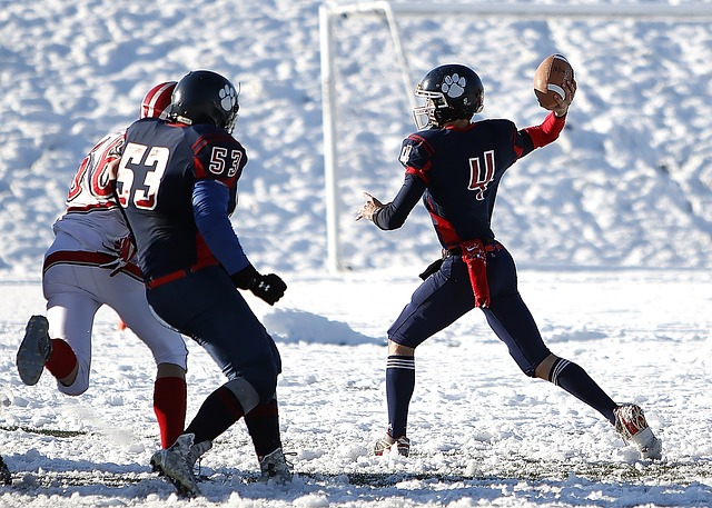 败的教训 败的教训