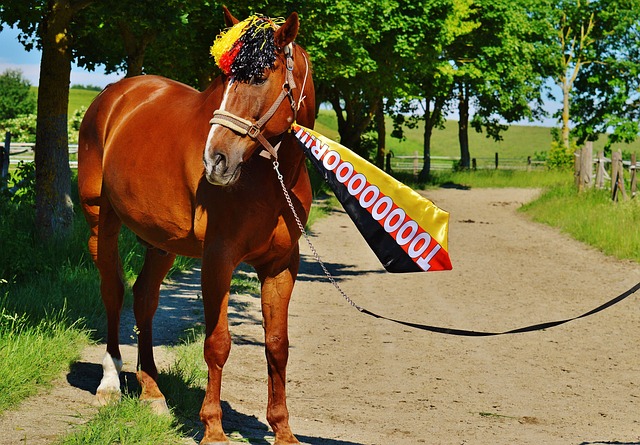 争取引进曼 争取引进曼