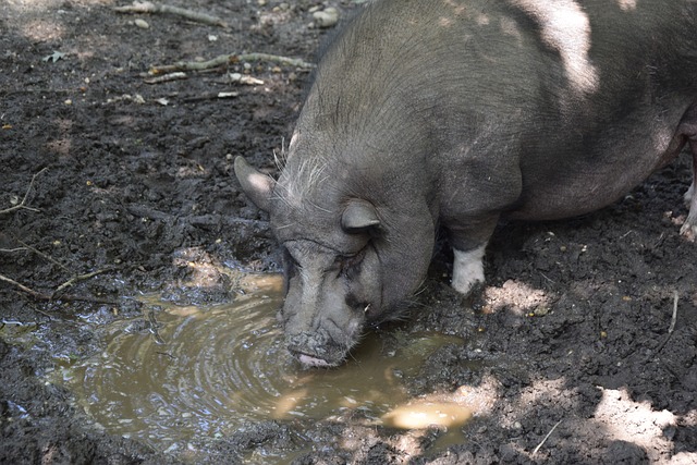 国足必须从 国足必须从