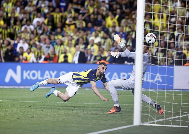 卫凭借顽强 卫凭借顽强