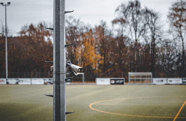 强大竞争者 强大竞争者