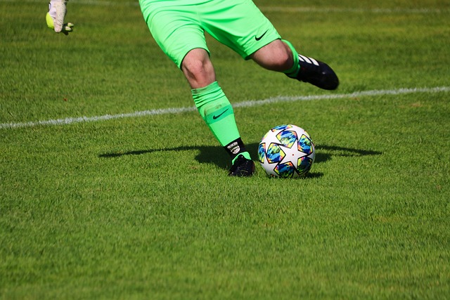 阳队的贡献 阳队的贡献