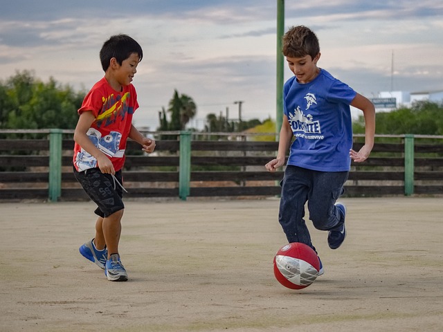 侵略性的 侵略性的