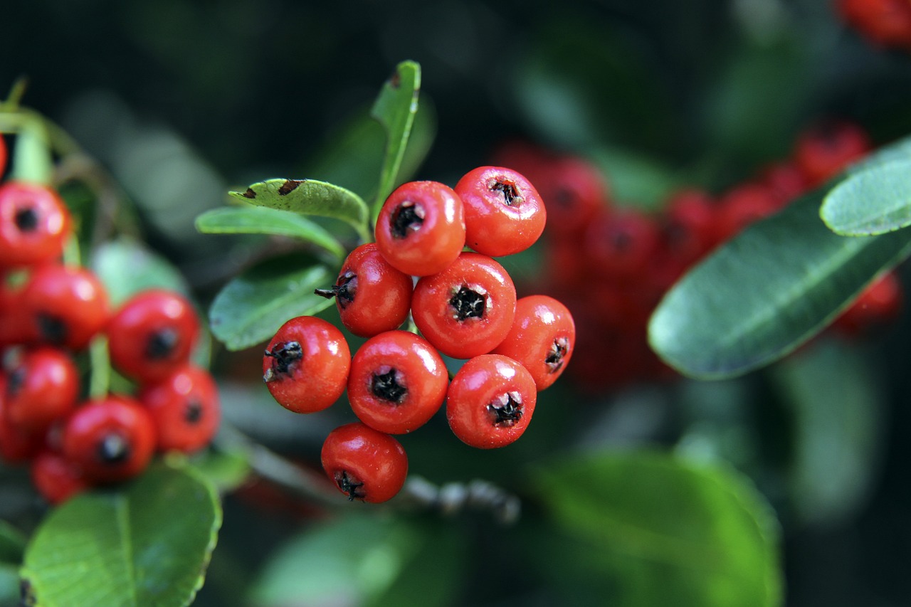 产生债务危 产生债务危